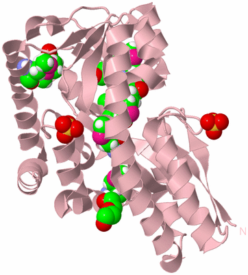 Image Biological Unit 3