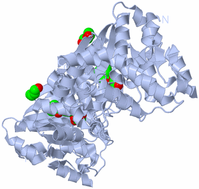 Image Biological Unit 1