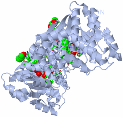 Image Biol. Unit 1 - sites