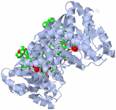 Image Biol. Unit 1 - sites