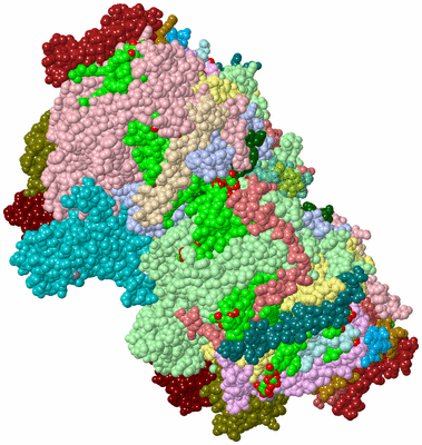 Image Asym./Biol. Unit