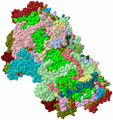 Image Asym./Biol. Unit - sites