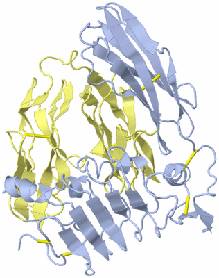 Image Biological Unit 2