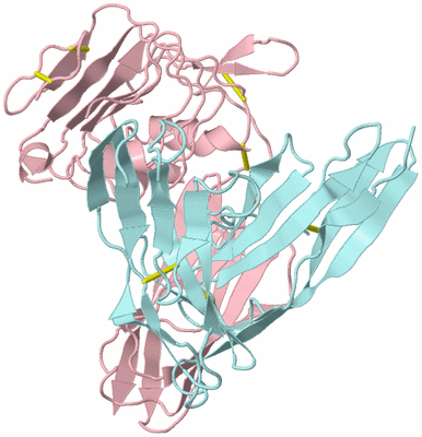 Image Biological Unit 3