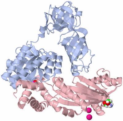 Image Biological Unit 1