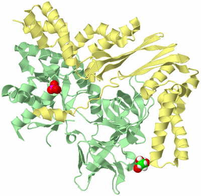 Image Biological Unit 2