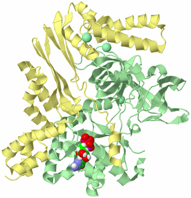 Image Biological Unit 2