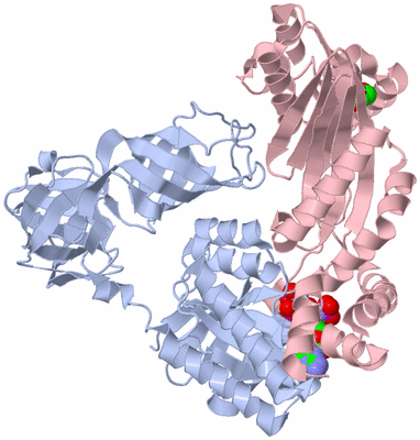 Image Biological Unit 1