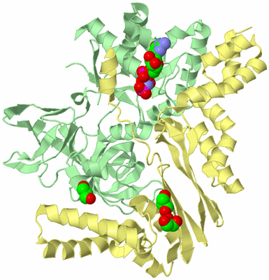 Image Biological Unit 2