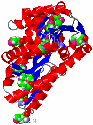 Image Asym./Biol. Unit