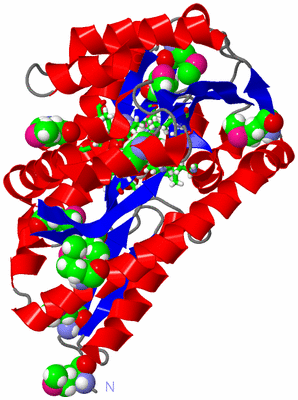 Image Asym./Biol. Unit - sites