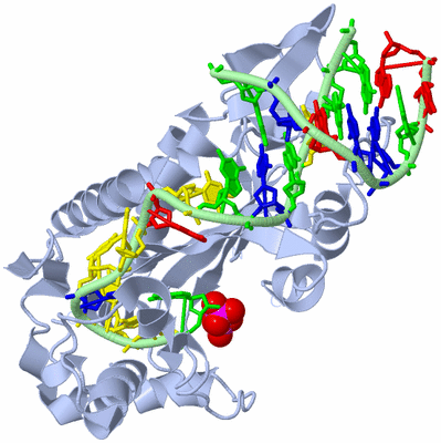 Image Biological Unit 1