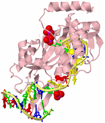 Image Biological Unit 2