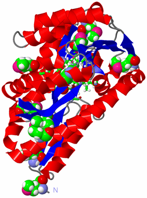 Image Asym./Biol. Unit - sites