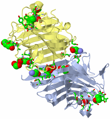 Image Biol. Unit 1 - sites