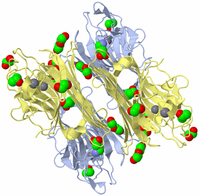 Image Biological Unit 2