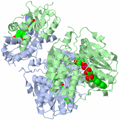 Image Asym./Biol. Unit