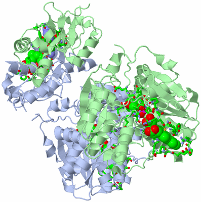 Image Asym./Biol. Unit - sites