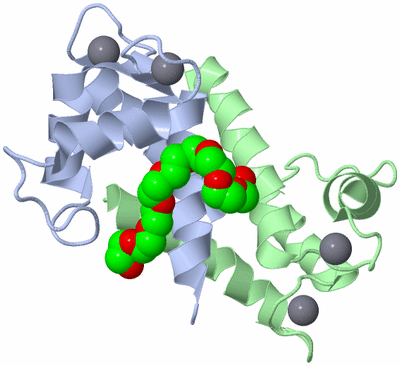 Image Biological Unit 1