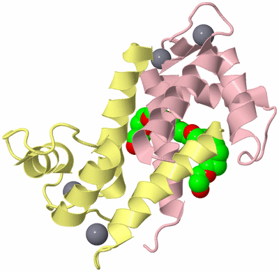 Image Biological Unit 2