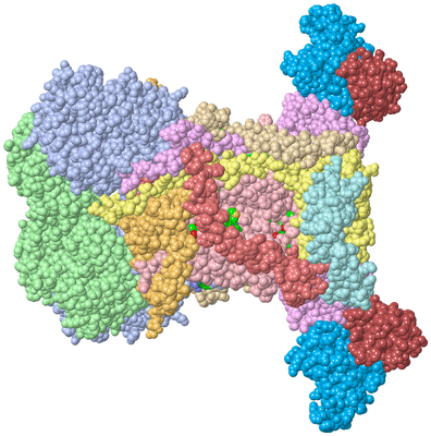 Image Biol. Unit 1 - sites