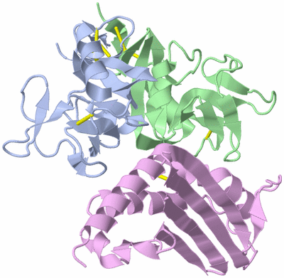 Image Biological Unit 1