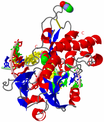 Image Asym./Biol. Unit