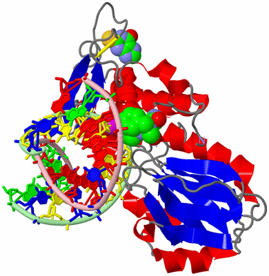 Image Asym./Biol. Unit