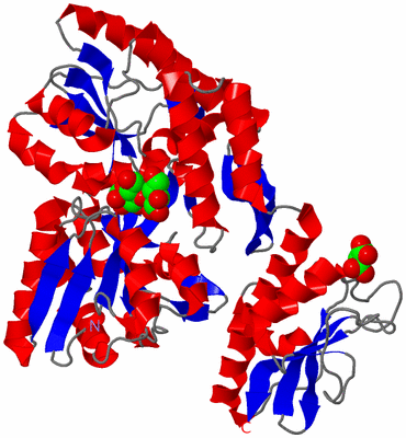 Image Asym./Biol. Unit