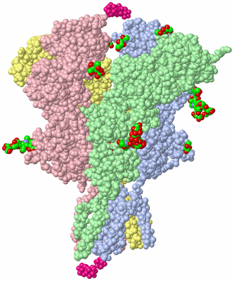 Image Asym./Biol. Unit