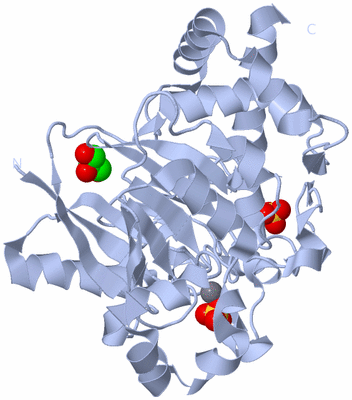 Image Biological Unit 1