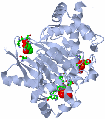 Image Biol. Unit 1 - sites