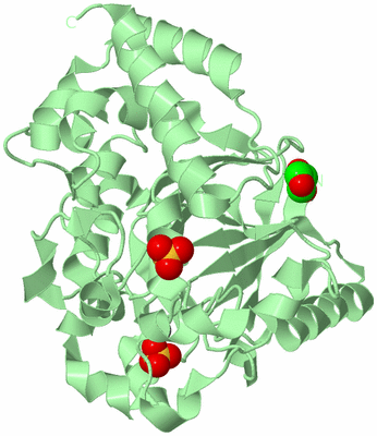 Image Biological Unit 2