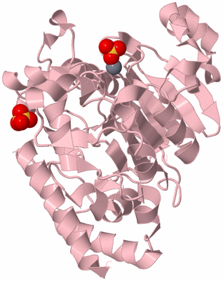 Image Biological Unit 3