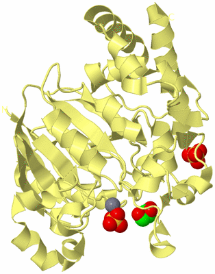 Image Biological Unit 4