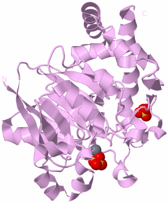 Image Biological Unit 5