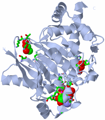 Image Biol. Unit 1 - sites