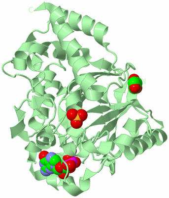 Image Biological Unit 2