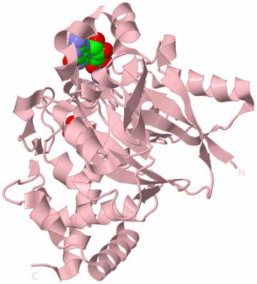 Image Biological Unit 3