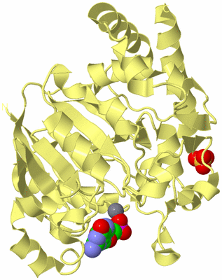 Image Biological Unit 4