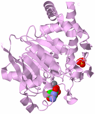 Image Biological Unit 5