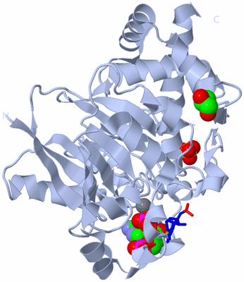 Image Biological Unit 1