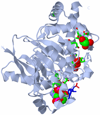 Image Biol. Unit 1 - sites