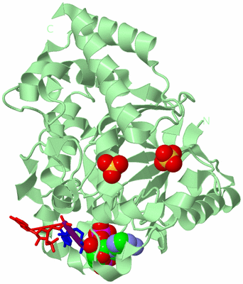 Image Biological Unit 2