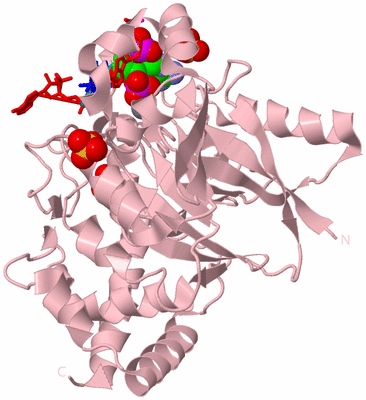 Image Biological Unit 3