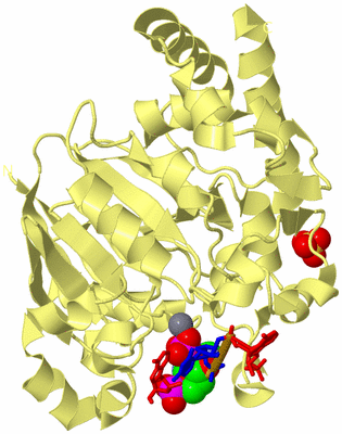 Image Biological Unit 4