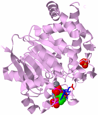 Image Biological Unit 5