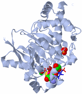 Image Biological Unit 1