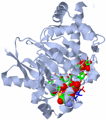 Image Biol. Unit 1 - sites