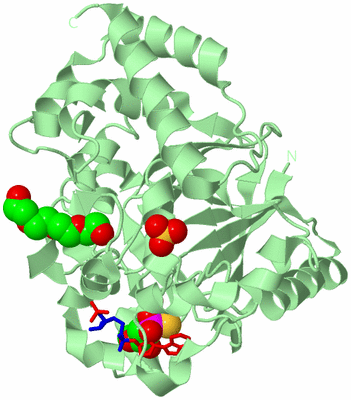 Image Biological Unit 2